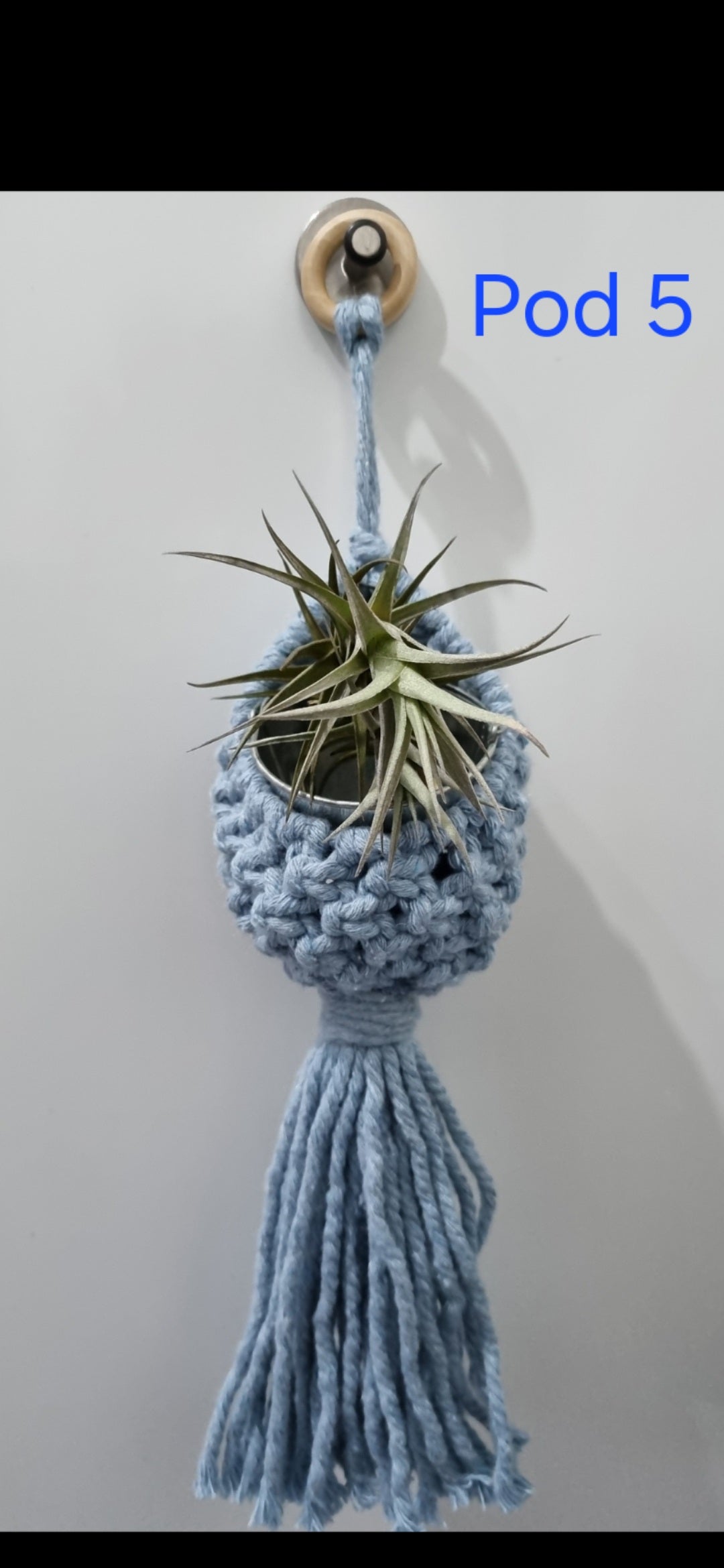 Home Decor Air Plant Pod Macrame