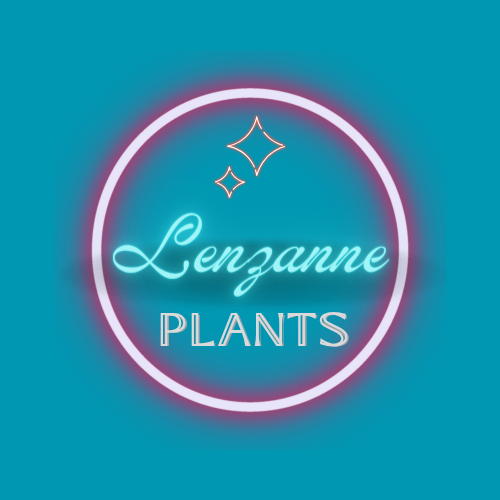 Lenzanne Plants