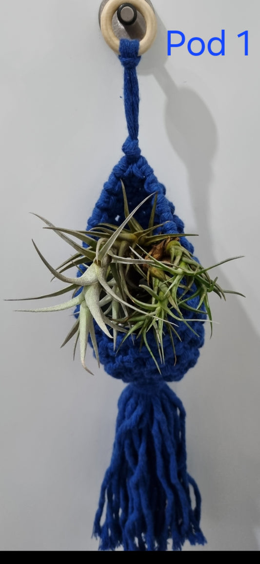 Home Decor Air Plant Pod Macrame